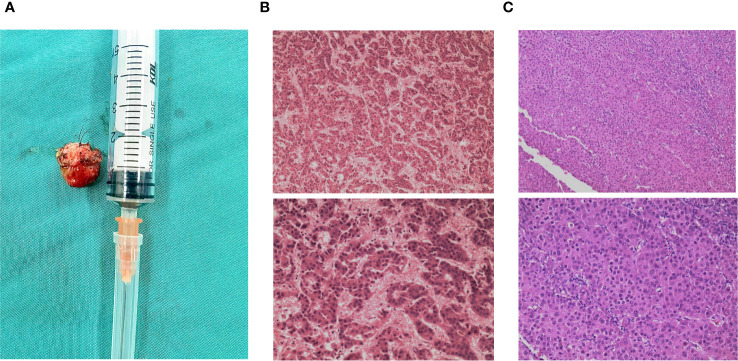 Figure 2