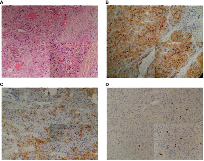 Figure 3