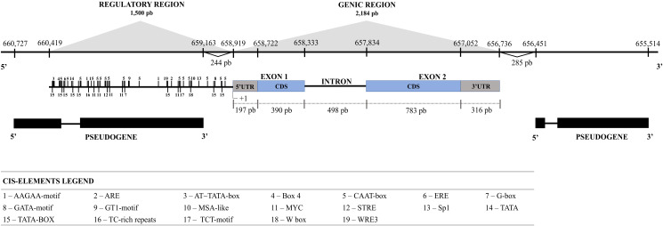 Figure 1