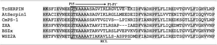 Figure 2