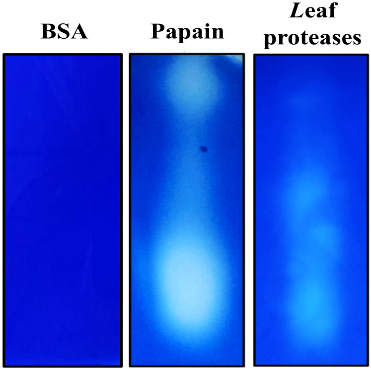 Figure 6