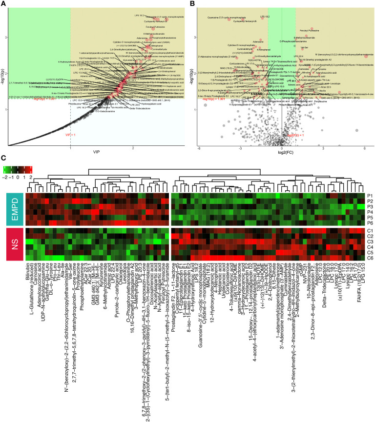 Figure 3