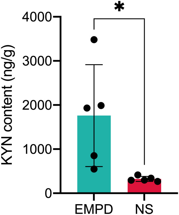 Figure 5