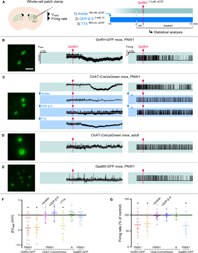 Figure 2