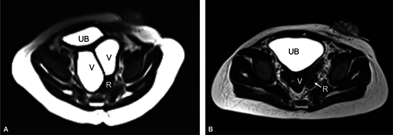 Fig. 8