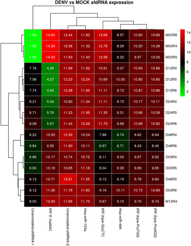 FIGURE 5
