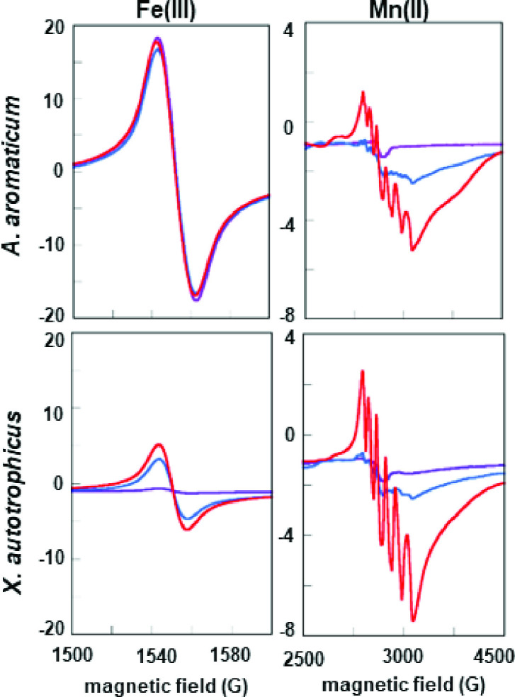 Fig 2