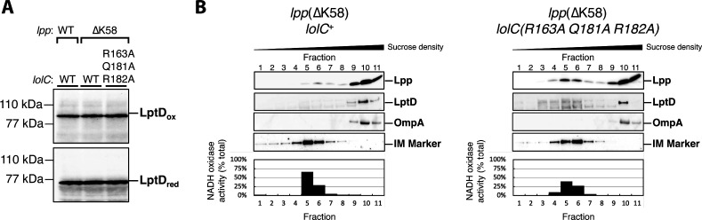 Fig 10