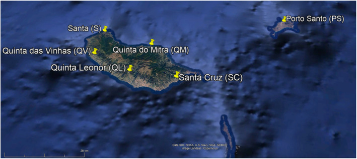FIGURE 1
