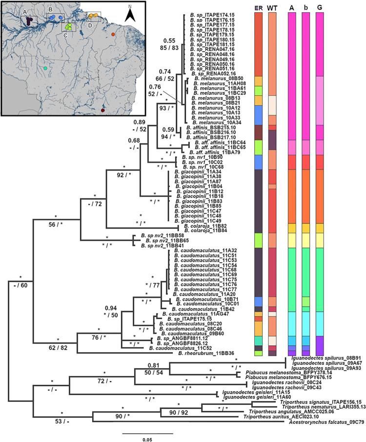 Fig 2