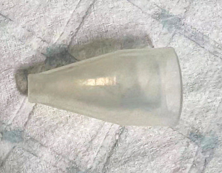 Fig. 2