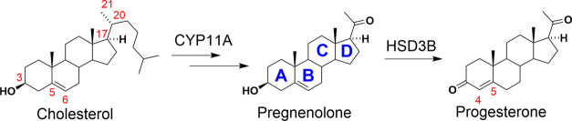 Figure 5