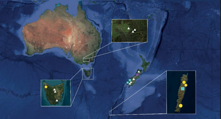 Figure 11