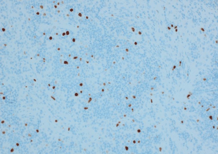 Figure 6