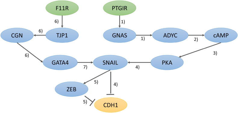 Figure 4