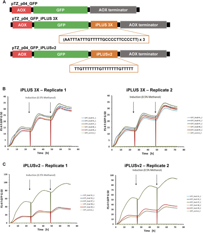 FIGURE 2