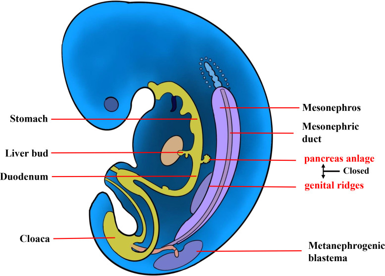 Figure 4