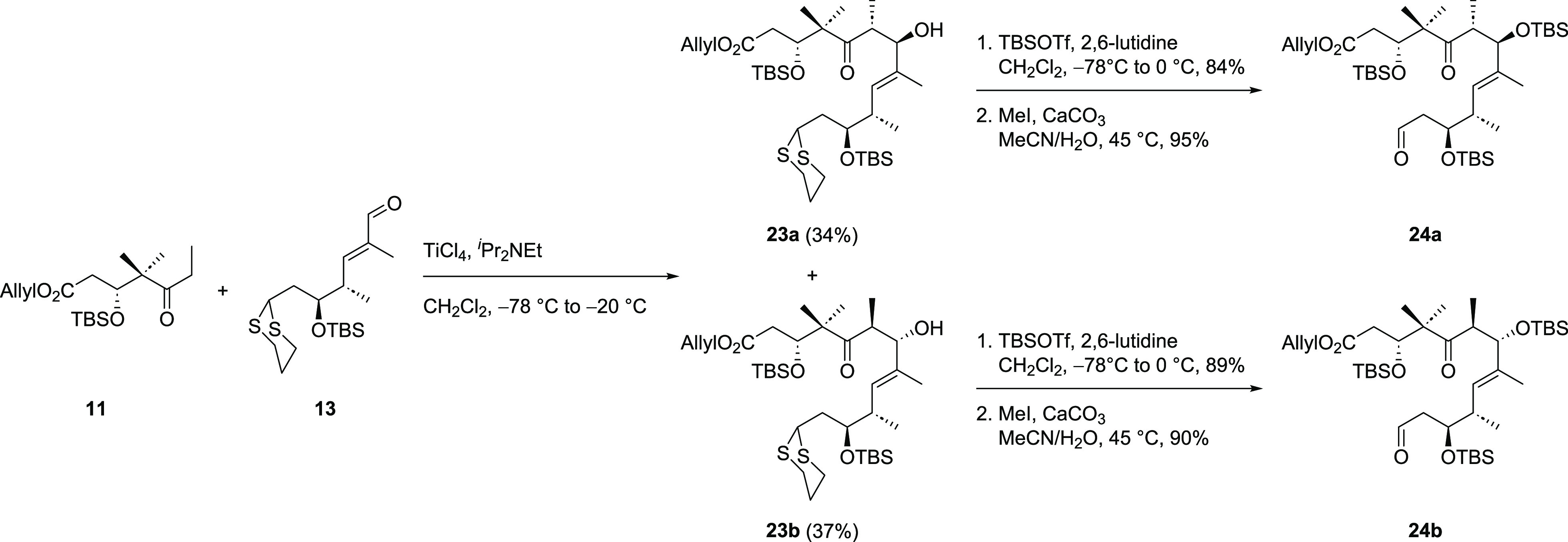 Scheme 4