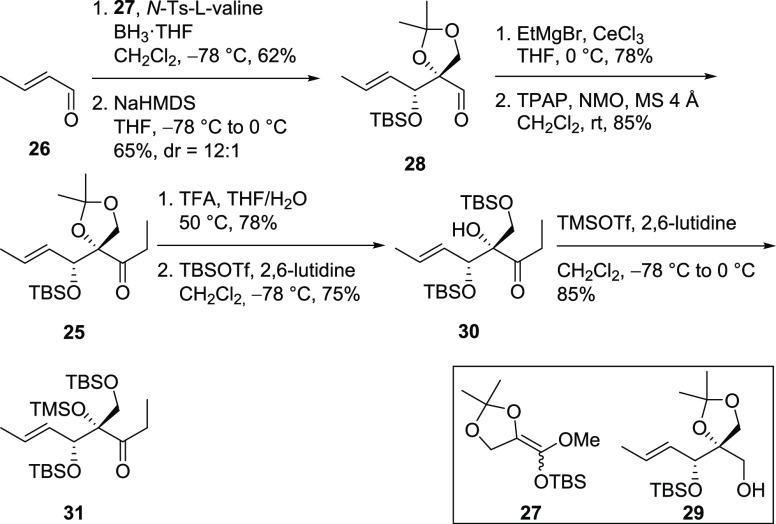 Scheme 5