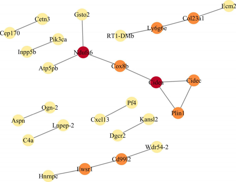 FIGURE 3