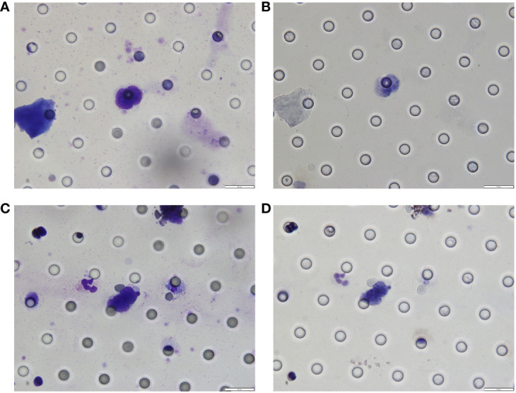 Figure 5