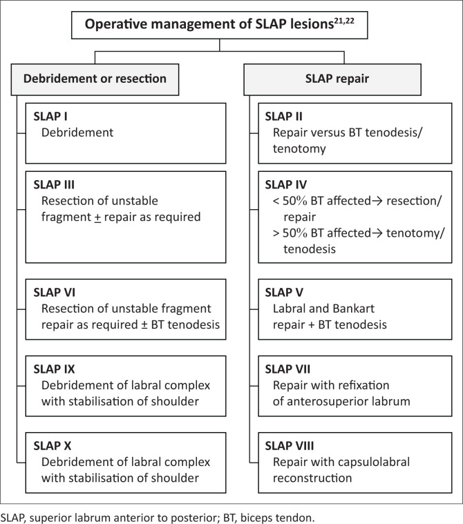 FIGURE 17