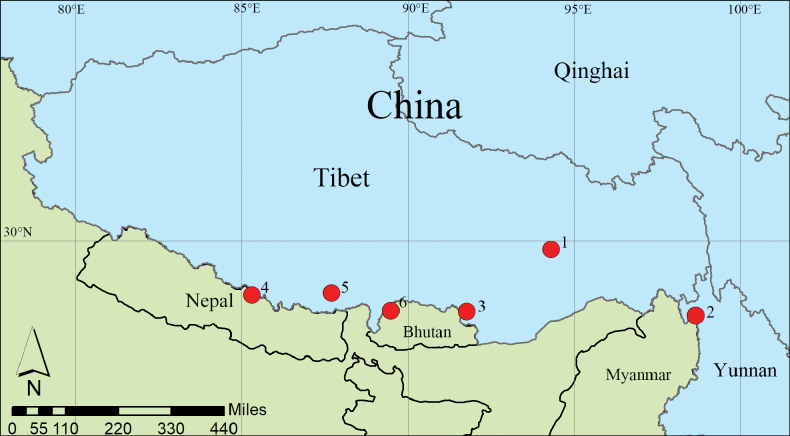 Figure 8