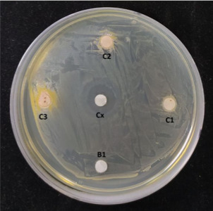Figure 2