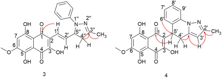 Fig. 4