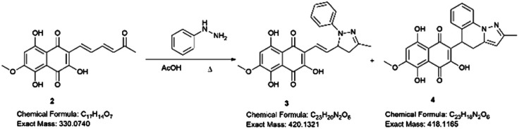 Scheme 2