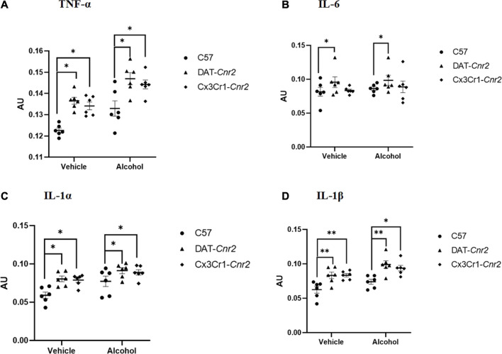 FIGURE 3