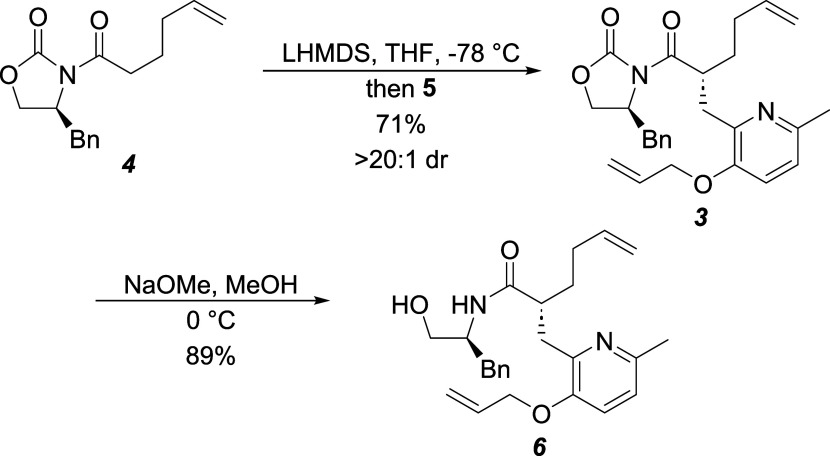 Scheme 2