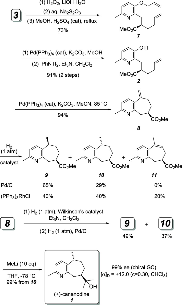 Scheme 3