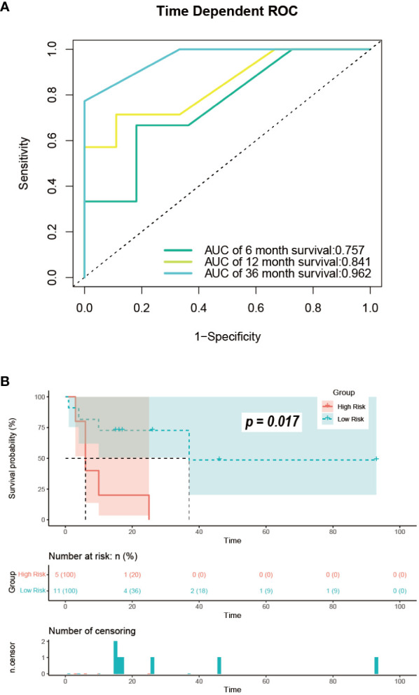 Figure 11
