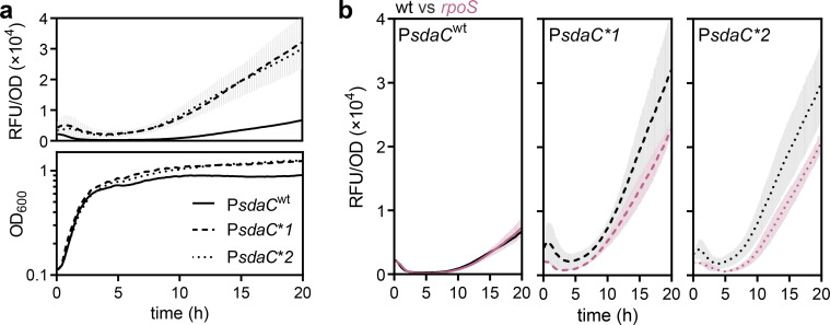 Fig 5