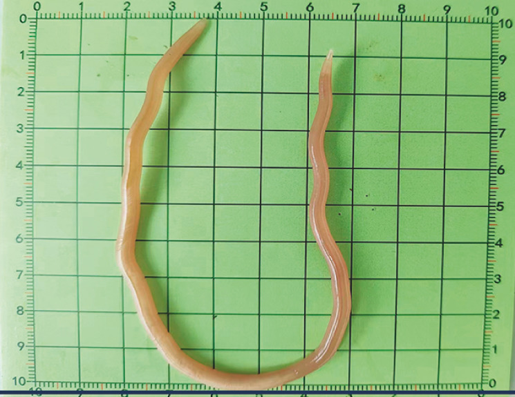 Fig. 2