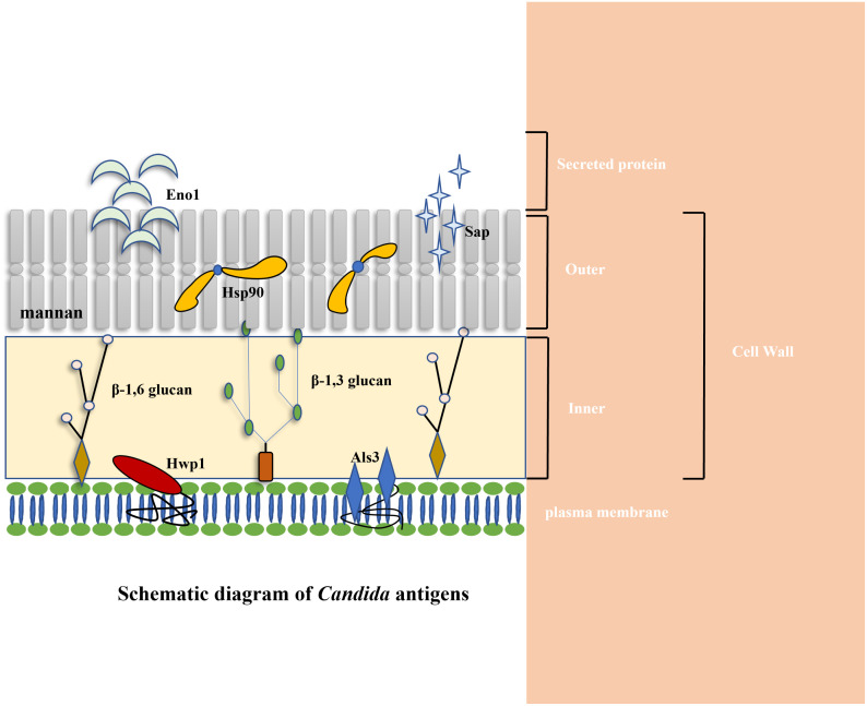 Figure 1