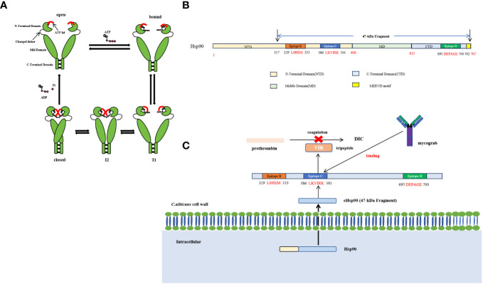 Figure 3
