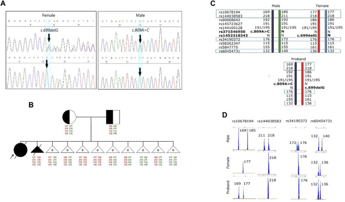 FIGURE 1