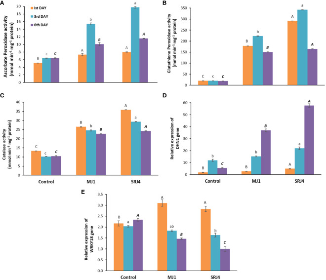 Figure 2