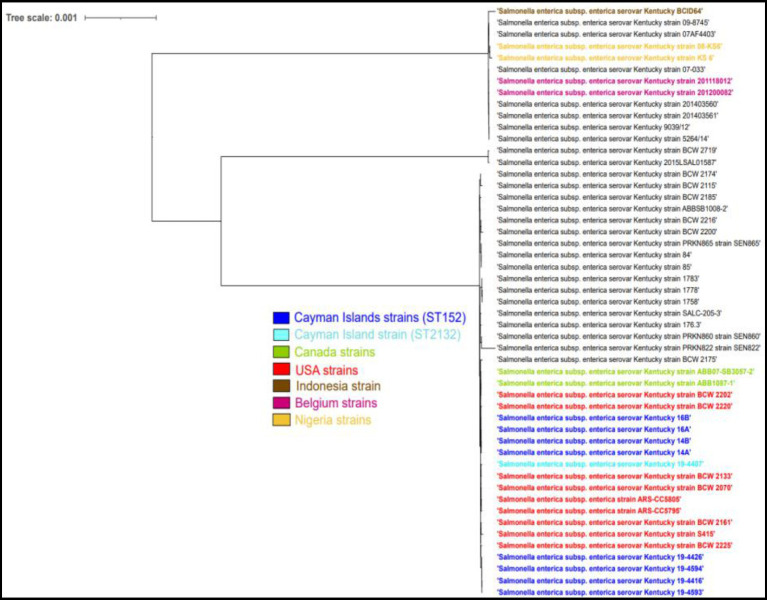 Figure 4