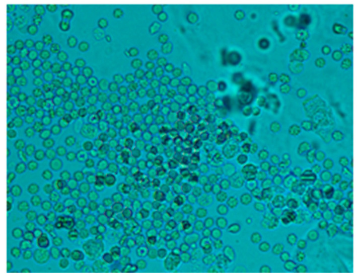 Figure 7