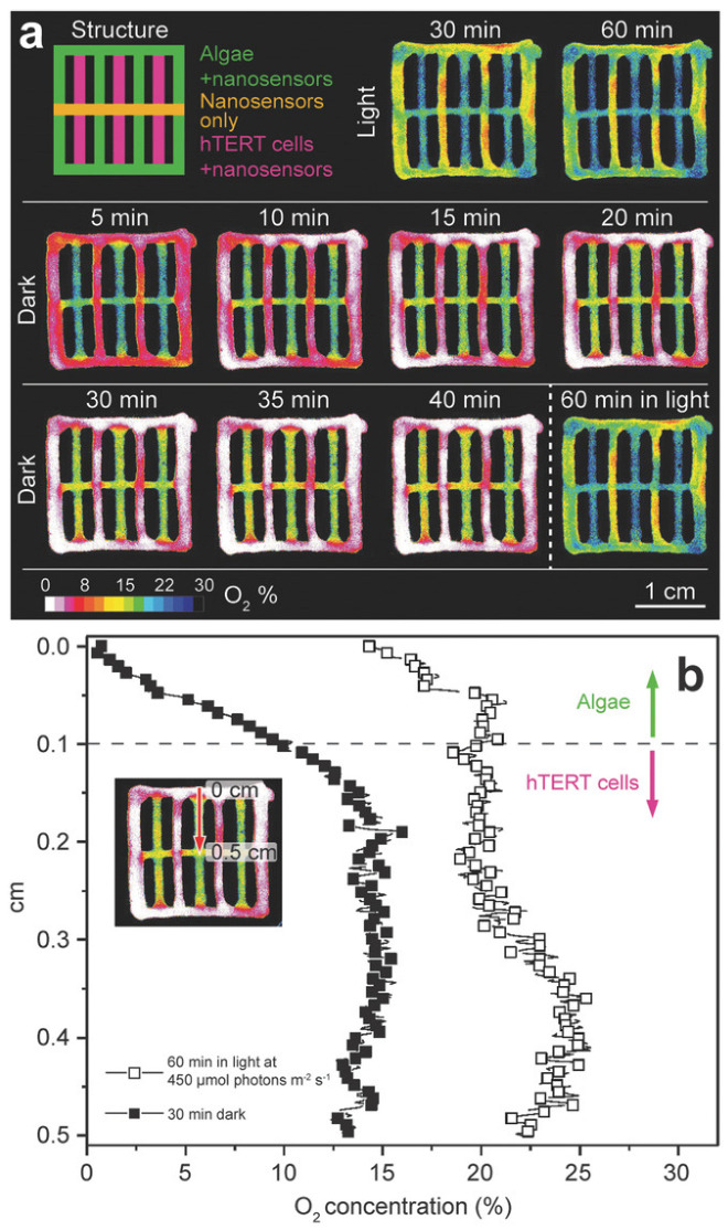Figure 11