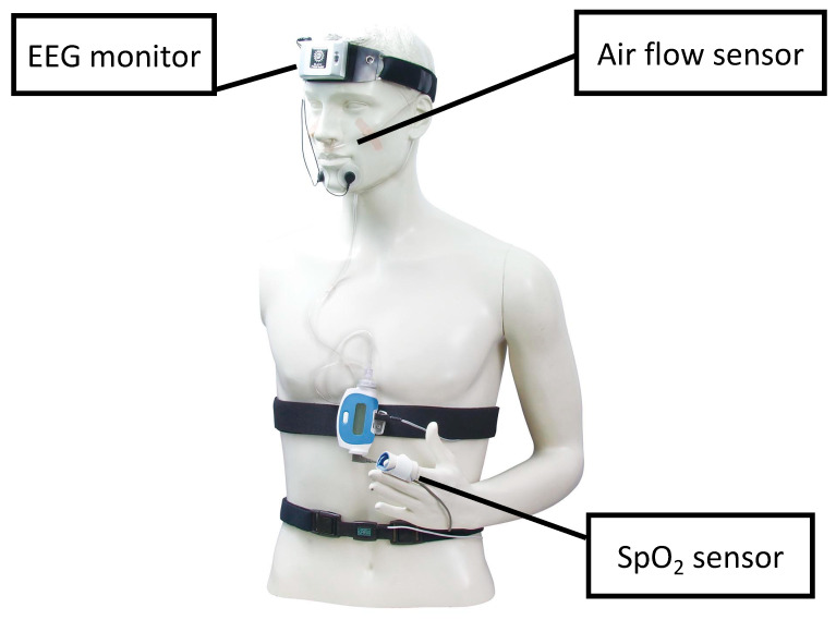 Figure 2