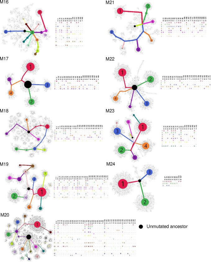 Figure 14