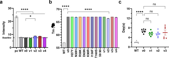 Figure 17