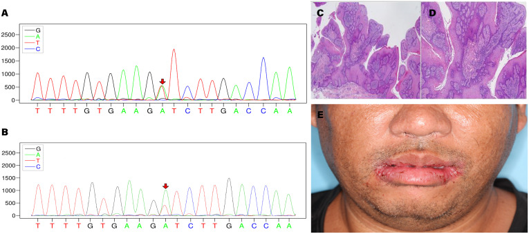 Figure 2