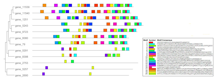 Figure 2