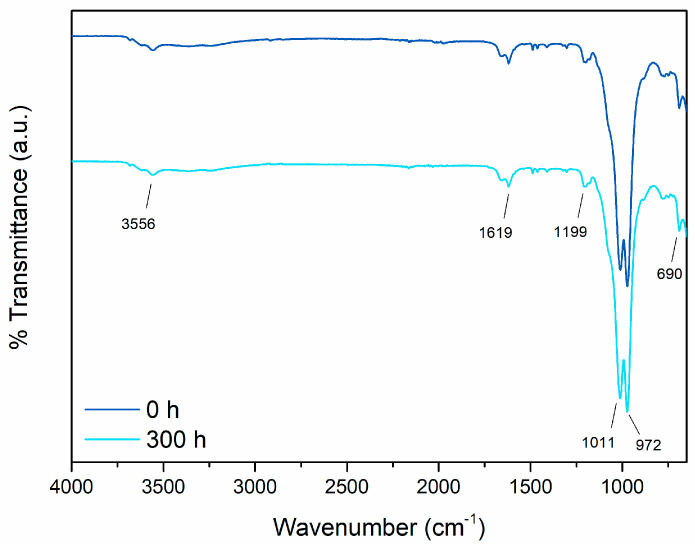 Figure 11