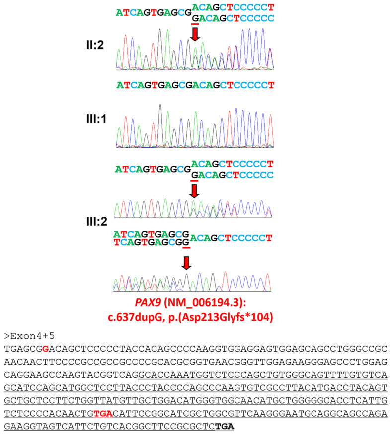 Figure 5
